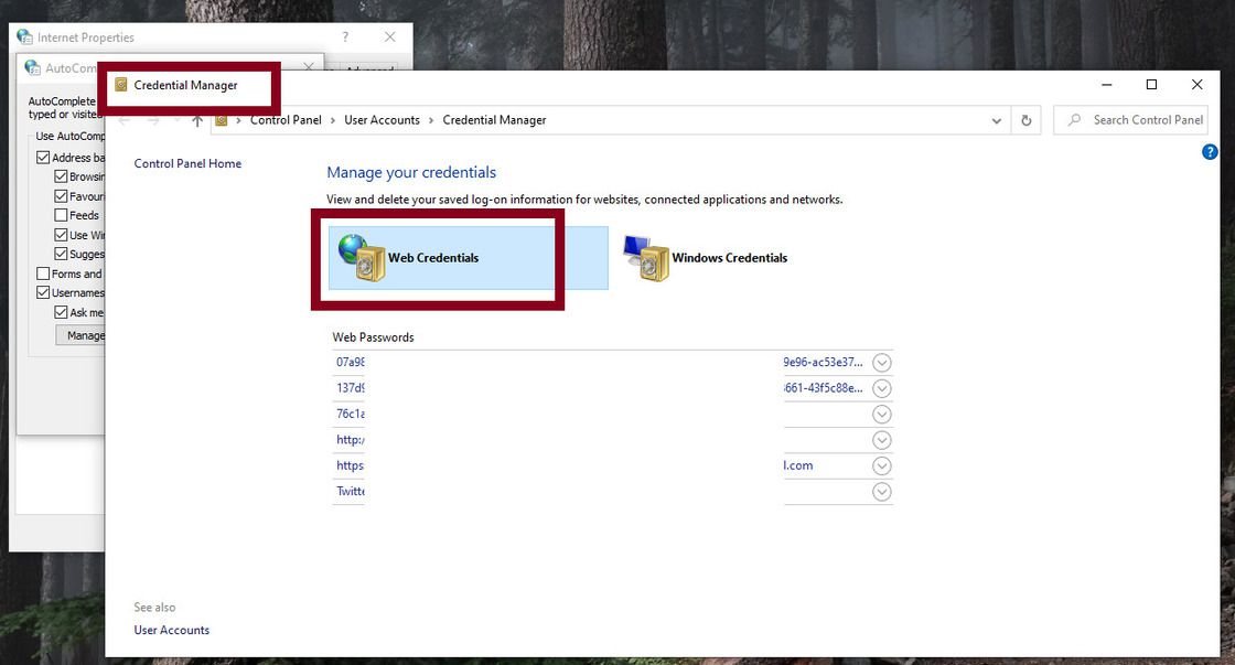how-to-find-hidden-saved-passwords-in-windows-10-12384-hot-sex-picture