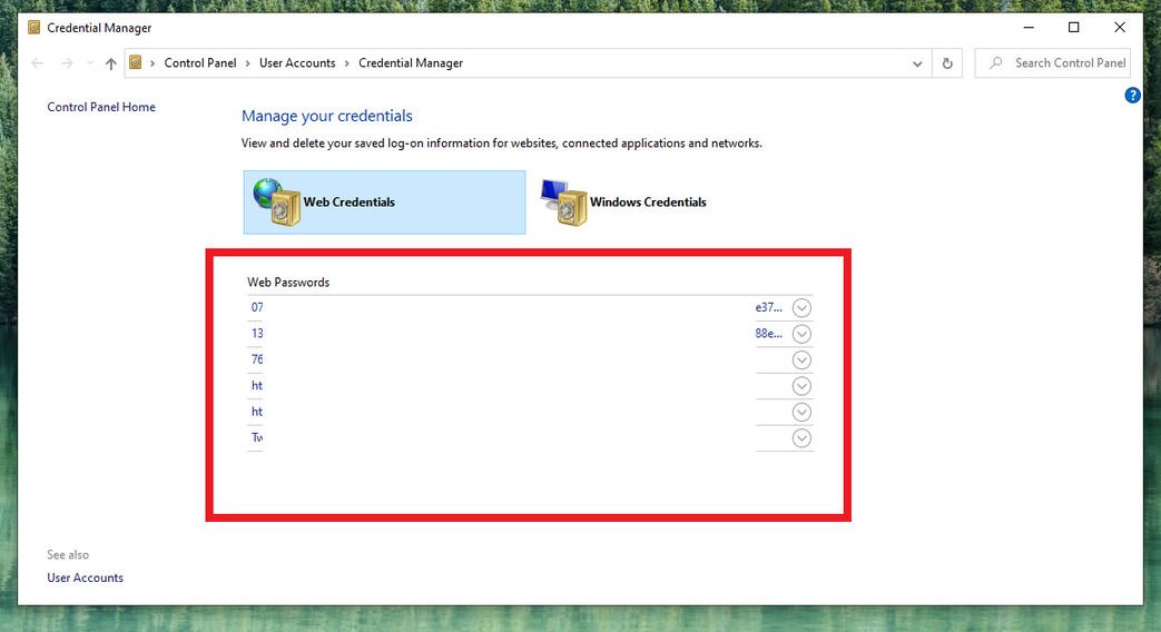 Password credentials. Windows Security log find user.