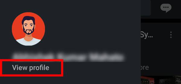 view linkedin profile