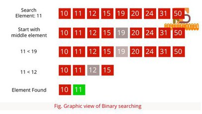 Introduction To Searching Algorithms - Linear Search | Binary Search   programming
