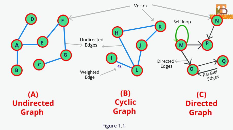 image which describe the graph terminology 
