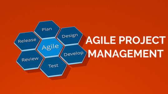 Is Agile Right For Your Business- Find Out Now programming