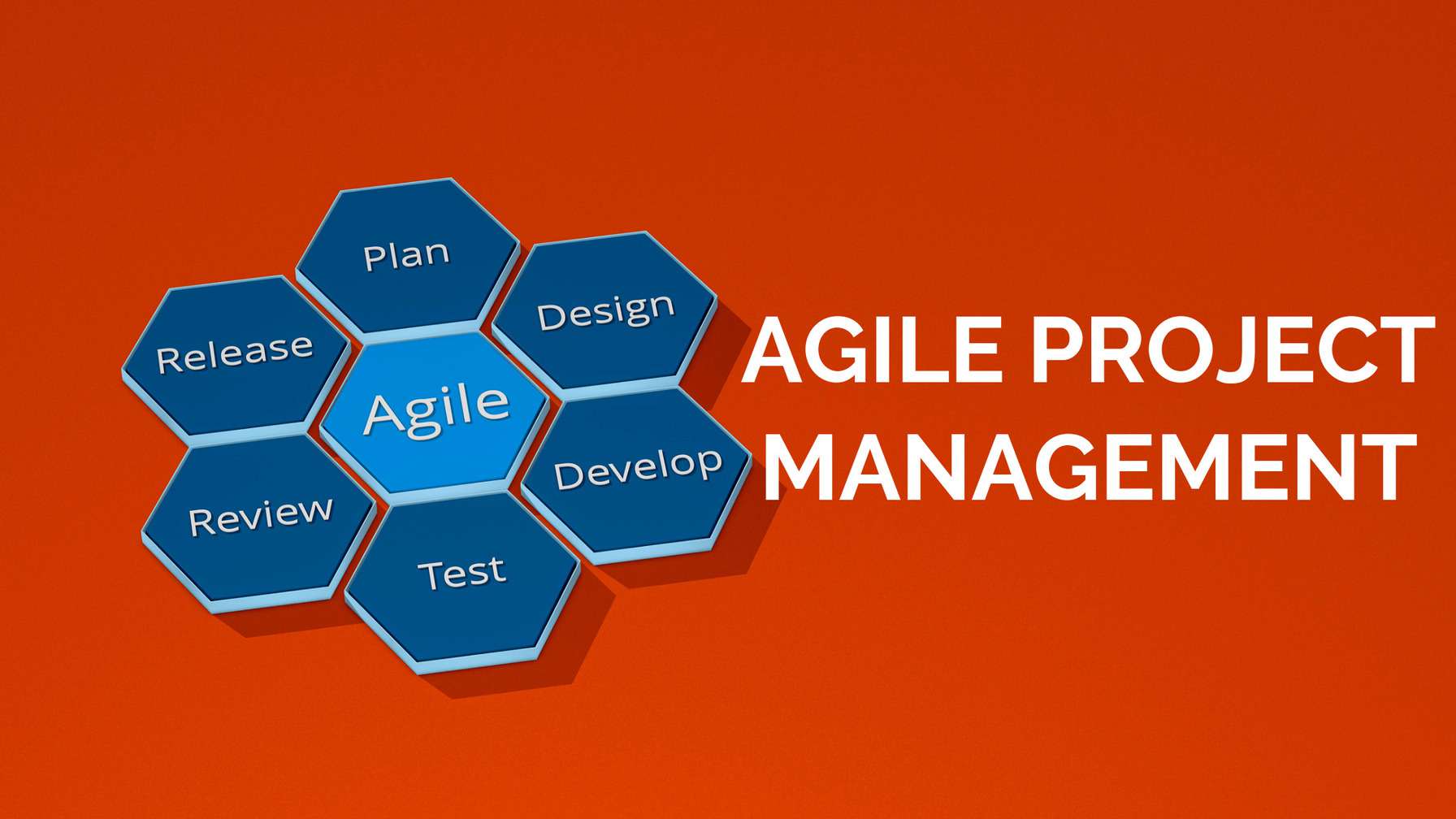 Agile project management methodology is becoming popular in industries other than software design. Here's how you can determine if your organization would benefit from it