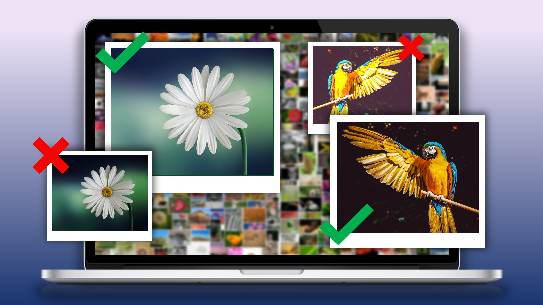 10 Best Duplicate Photo Finder and Cleaner Tools for Windows   top-things